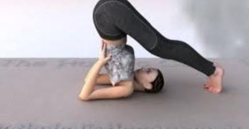 Halasana, Plow Pose (Zen Meditation) - Song Download from Hatha Yoga Music  – Yoga Postures, Pranayama & Meditation Peaceful Songs for Your Yoga Zen  Space @ JioSaavn