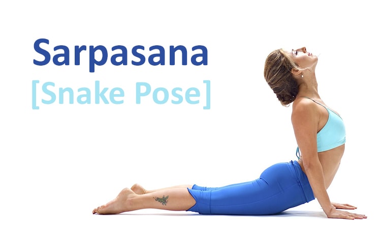 bhujangasana | Cobra Pose| Steps, Benefits, Precautions