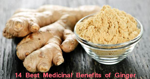 14 Best Medicinal Benefits Of Ginger