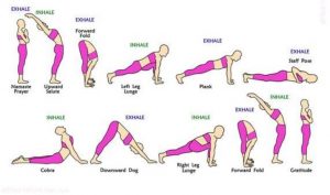 Surya Namaskar Yoga - 12 Steps Names And Procedure